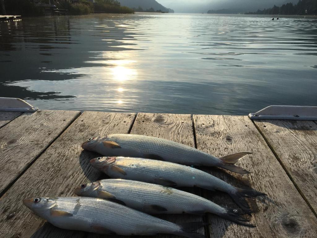 Ferienhof Hoffmann Hotel Weissensee Bagian luar foto