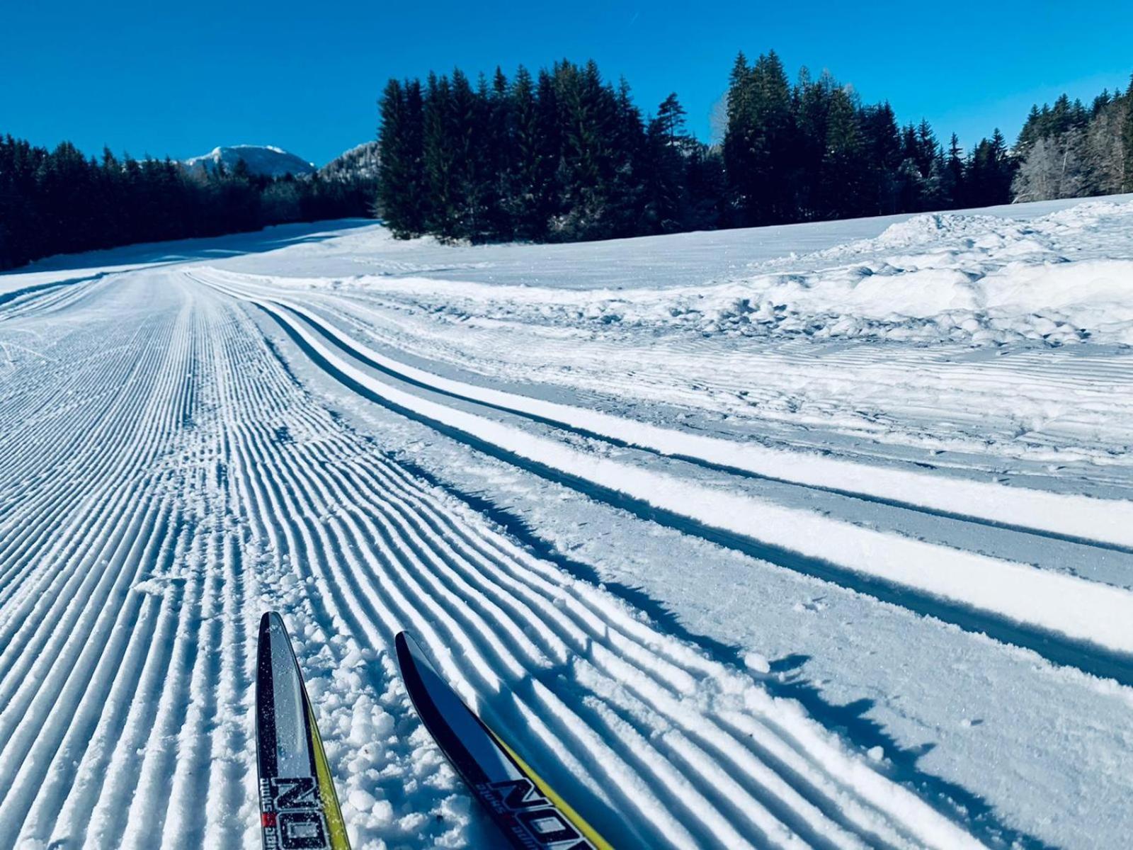Ferienhof Hoffmann Hotel Weissensee Bagian luar foto