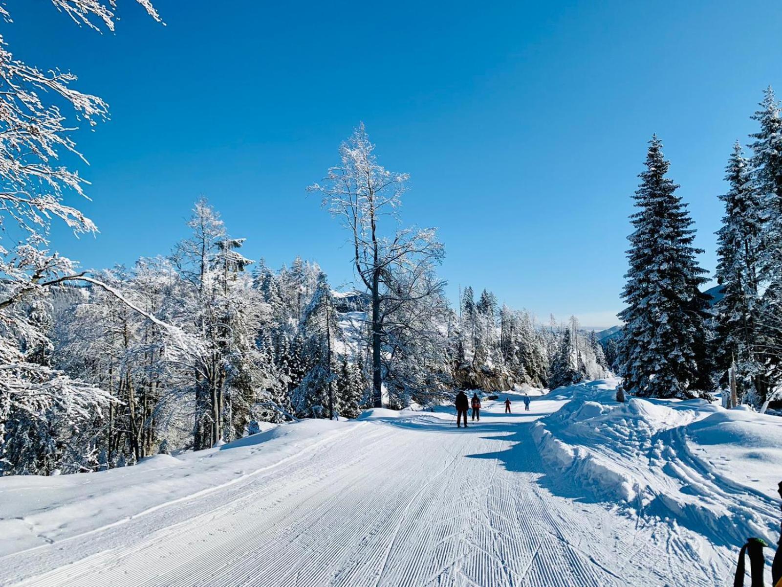 Ferienhof Hoffmann Hotel Weissensee Bagian luar foto